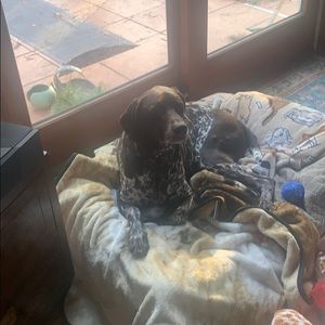 Meet your Posher, Caitlin